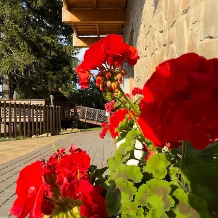 Apartament Krolewna Sniezka Ii *
