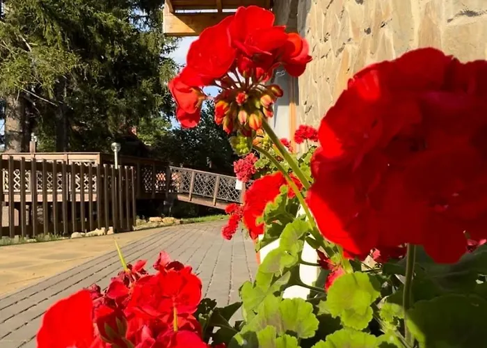 Appartement Krolewna Sniezka Ii *