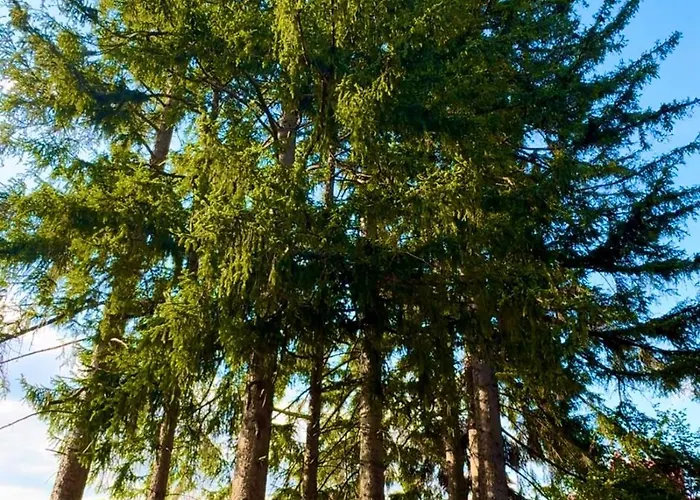 Appartement Krolewna Sniezka Ii Szklarska Poręba